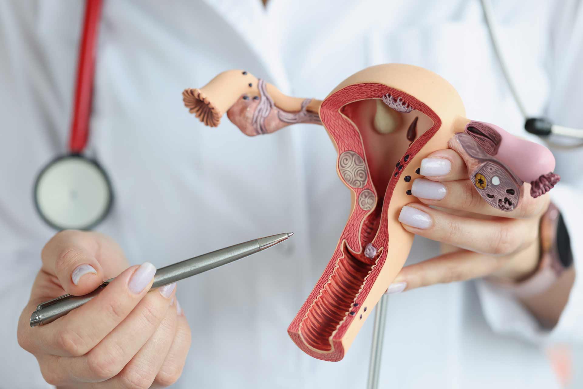 Women’s Wellness & Gynecology Services